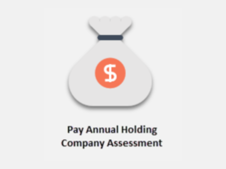 A Bag With a Money Symbol with the word "Pay Annual Holding Company Assessment"  Below The Image