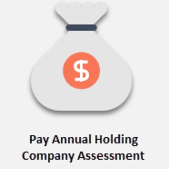 Pay Annual Holding Company Assessment